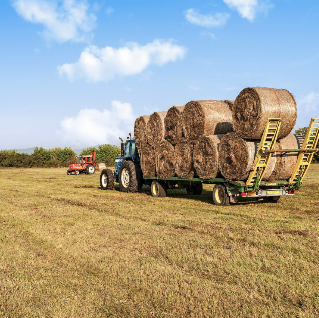 Hay bales on a trailer.